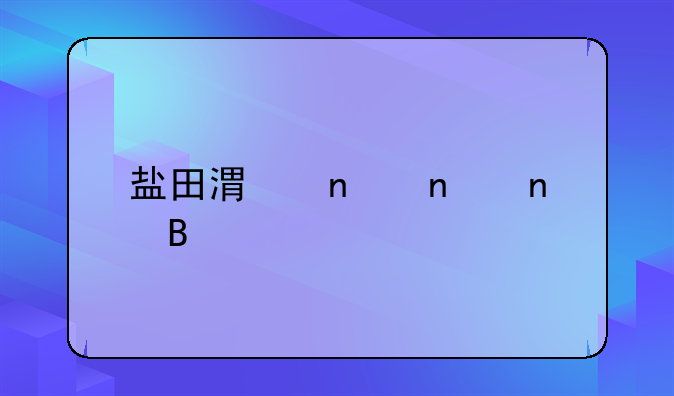 盐田港集团更名