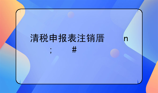 清税申报表注销原因怎么填写