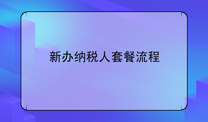 新办纳税人套餐流程