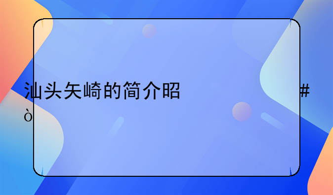 汕头矢崎的简介是什么？