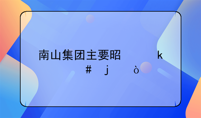 南山集团主要是做什么的？