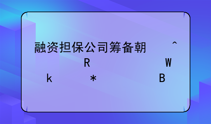 融资担保公司筹备期间费用如何做账务处理