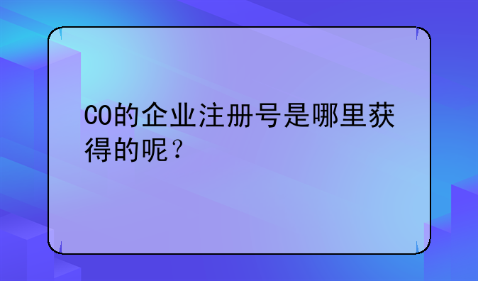 CO的企业注册号是哪里获得的呢？