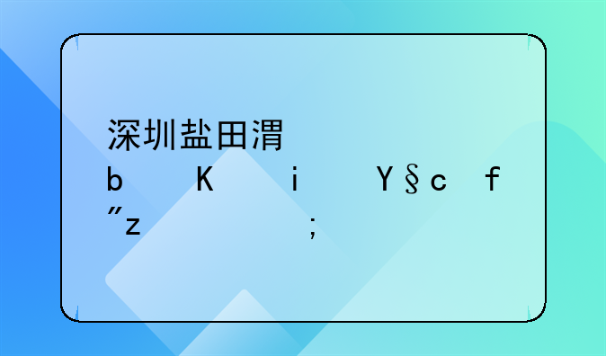 深圳盐田港码头是不是李嘉诚的？