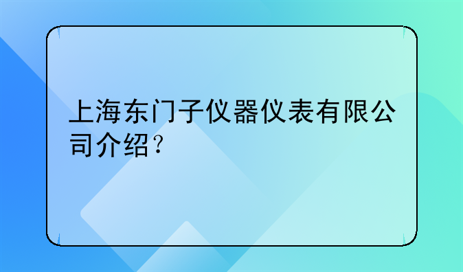 上海东门子仪器仪表有限公司介绍？