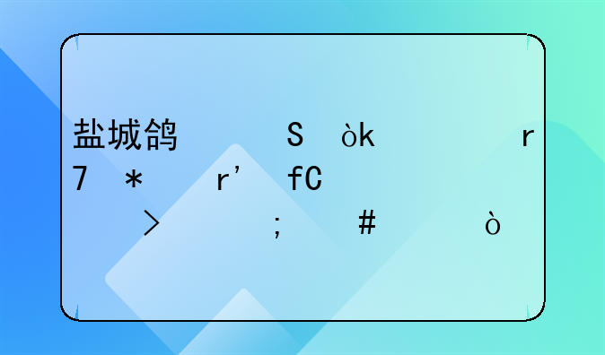 盐城鸿翔会计服务有限公司怎么样？