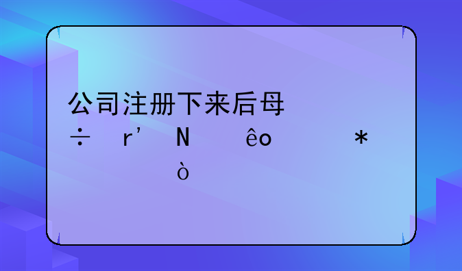 公司注册下来后每年都有哪些维护费？