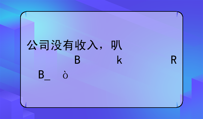 公司没有收入，可以入账营业费用吗？