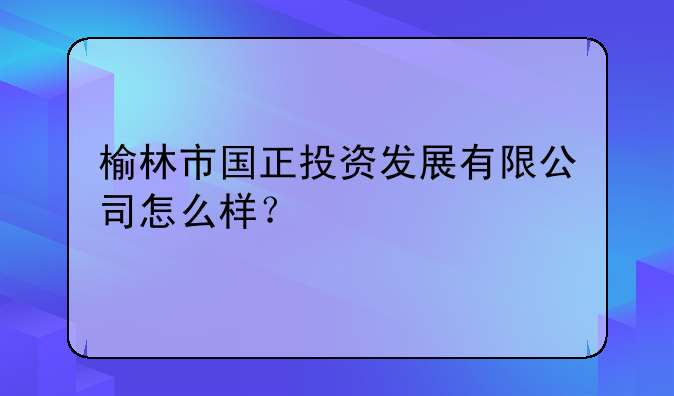 榆林市国正投资发展有限公司怎么样？