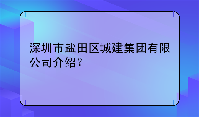 深圳市盐田区城建集团有限公司介绍？