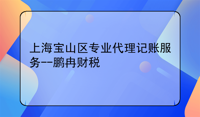 上海宝山区专业代理记账服务--鹏冉财税