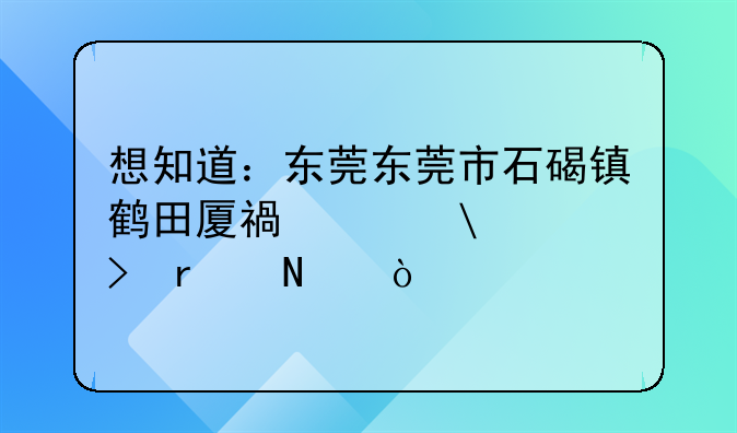 想知道：东莞东莞市石碣镇鹤田厦福永街19号在哪？