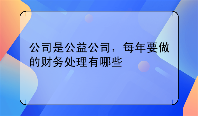 公司是公益公司,每年要做的财务处理有哪些